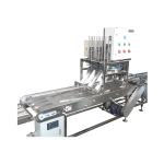 Strawberry Flavor Ice Cream Cone Production Line Automatic