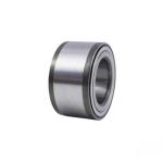 Chrome Steel Automotive Wheel Hub Bearing DU55900055-2RZ for High Speed