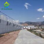 Hot Dip Galvanized Steel Plastic Film Greenhouse 3-8m Gutter Four Seasons