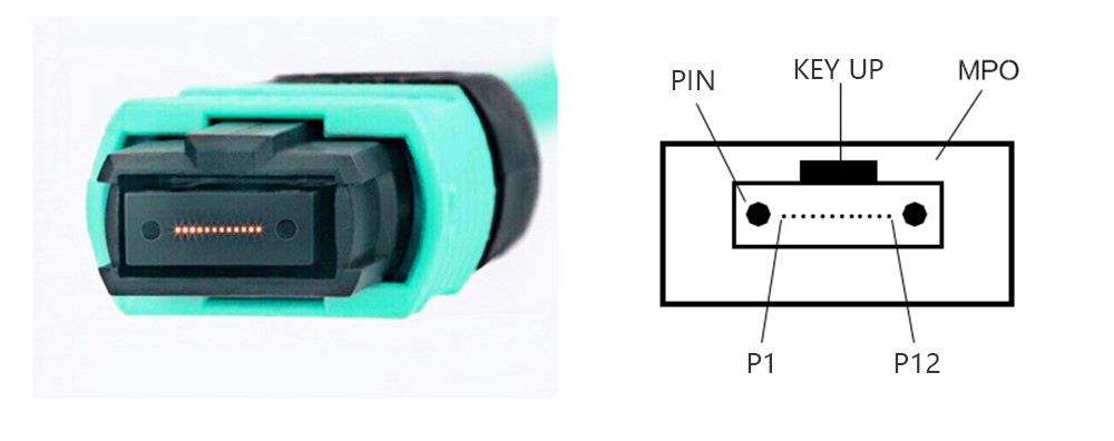 3M 12 Fibers OM3 10G MTP MPO Fiber Optic Patch Cable