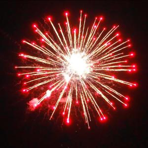 Wholesale Chinese 4 Inch 16 Shots Consumer Cake Fireworks From 1.4G Liuyang Professional Fireworks Supplier Custom Fire Works from china suppliers