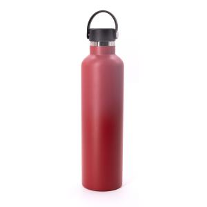 Wholesale 18oz 21oz 24oz Vacuum Insulated Bottle , Narrow Mouth Flask Embossing Logo from china suppliers