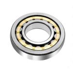 N232 Cylindrical Roller Bearings N205 N220 N200 Series