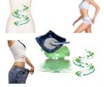 Stable Natural Lotus Leaf Extract Powder Nuciferine 50% Anti Obesity