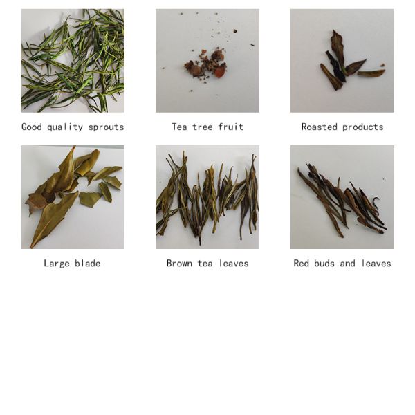 Accurate 3.6 * 1.9 * 2.2 White Tea Sorting Equipment For Precise Recognition And Fast Sorting