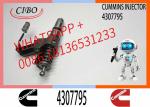 Wholesale High Level Fuel Injector 4307795 3087733 3095086 3411691 3411759