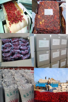 Long red Erjingtiao chili for fried chili rings