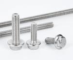 M6 M18 Stainless Steel Plain Metal Hexagon Flange Bolt SS304 SS316 A2 A4 DIN6921