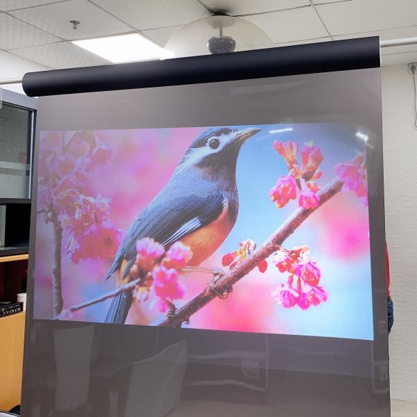 Holographic Projection Screen Film , Rear Projection Film For Glass For Window