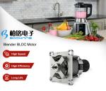 Brushless DC Motor for High Speed Blender