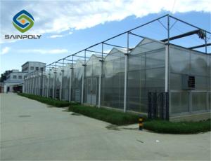 Wholesale High transmittance 10.8m Polycarbonate Greenhouse For Agriculture Farm from china suppliers