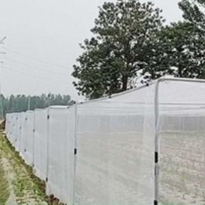 Wholesale 50mesh High Density Agriculture Insect Net 50-90gsm Vegetable Anti Insect Net from china suppliers