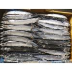 Whole Round Size #3 BQF Frozen Pacific Saury Fish Cololabis Saira