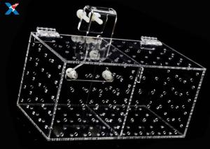 China XH-AF Acrylic Modern Furniture Acrylic Isolation Box For Aquarium Plexiglass Tropical on sale