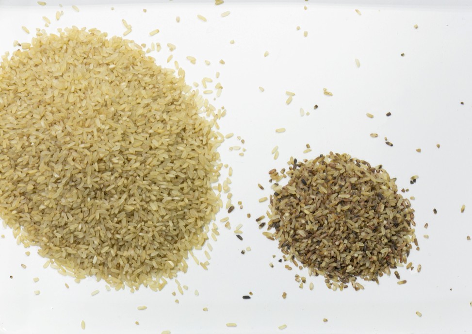 Optical plastic color sorting machine and food processing machine for sorting plastic pet granules flakes with CCD sensor