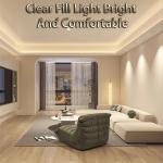 Flexible Light Strip 24V / 36V Outdoor Waterproof Decoration Atmosphere Bright