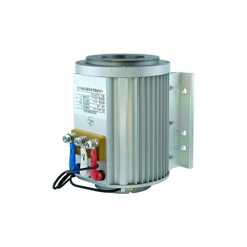 Electric Forklift Motor