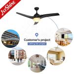DCF W186 52 AC Plastic Ceiling Fan Outdoor AC Motor 3 ABS Blades