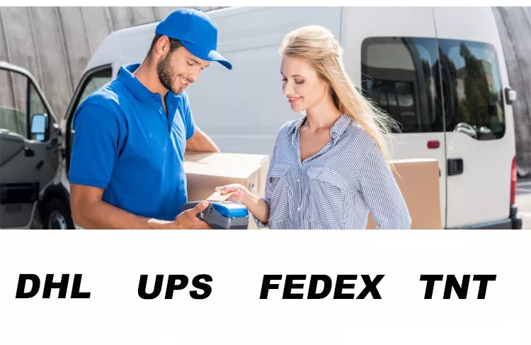 Ningbo Freight Forwarder Air Shipping Services / Global Air Shipping DHL UPS FEDEX
