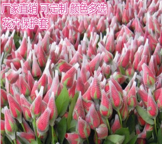 White Extruded Protective Netting Sleeve For Rose Flower