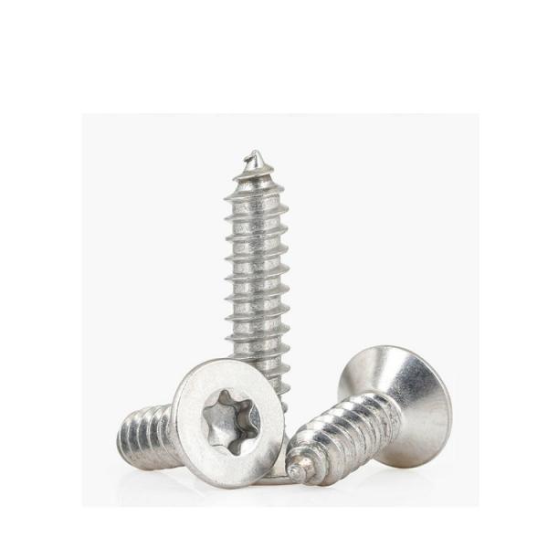 Self Tapping Screw All Kinds of SS304 Stainless Steel 100% Inspection Before