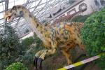 Long 2.5 M Artificial Outdoor Natureal Giant Dinosaur Statue For Shopping Mall