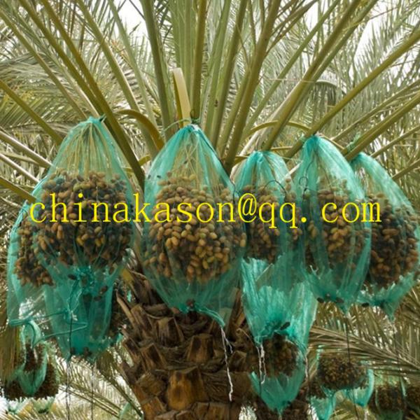 Date plam mono mesh bag
