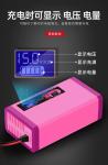 12v10a Motorcycle Smart Charger