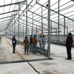 Industrial Prefabricated Steel Shed Construction Prefabricated Steel Farm Shed