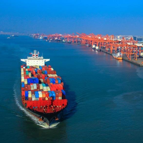 Local Service Customs Clearence Trucking Ddu Shipping With Bank Transfer