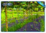 Enviro Vegetable Garden Weed Barrier Agriculture Non Woven Cover Ground Weed