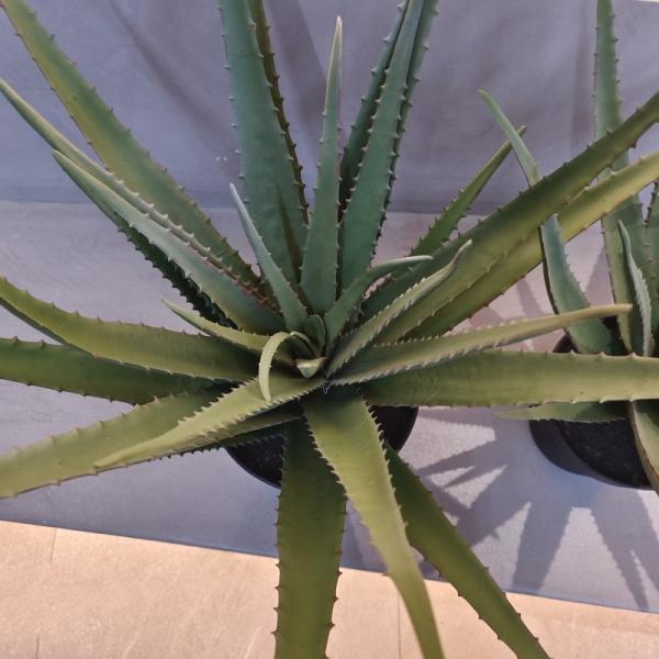 Lifelike Plastic Aloe Plant Indoor Outdoor Artificial Aloe Vera Faux Greenery