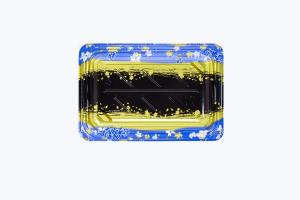 Wholesale Professional Manufacturer Recyclable Plastic Food Packaging Sushi Trays for Food Container from china suppliers