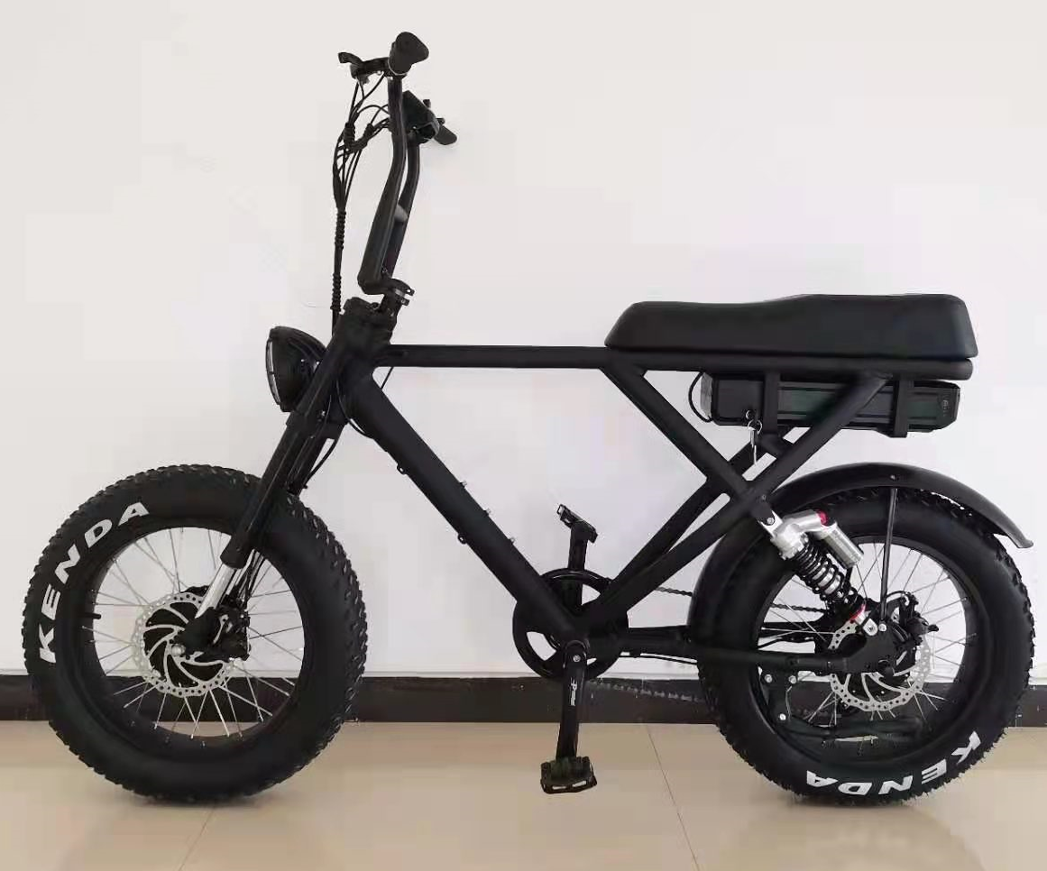 Disc Brake Electric Bike 2022 Version Snow Beach Fast Speed Customized E Bicycle 2 Seats