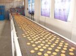 Automatic Food Incline Belt Conveyor China Supplier