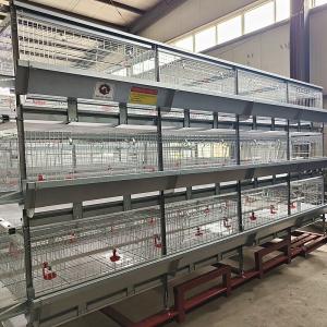 Wholesale Poultry Equipment Broiler Chicken Cage 100kg Load Bearing Not Broken from china suppliers
