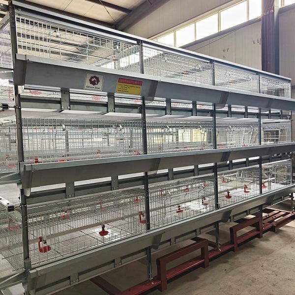 5000 Birds Broiler Poultry Cage Farm Hot Dip Galvanized Battery H Frame Farm