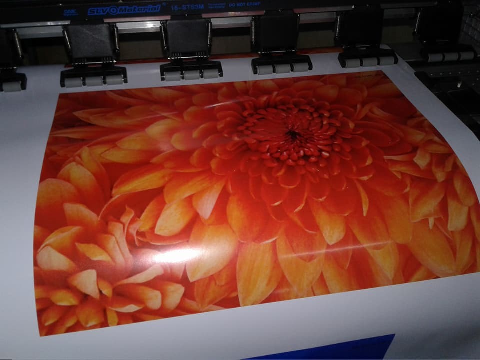 Printable Adhesive Glossy/Matte Car Wrap Vinyl Sticker Roll Self Adhesive Vinyl 100mic