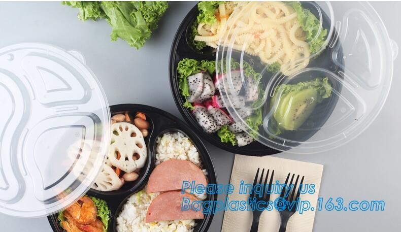 Factory Direct Lid Plastic Lunch Box Clear Food Container,Keep Fresh Crisper Food Box,Fresh Boxpp packaging disposable c