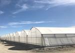 Smart Control Plastic Film Greenhouse , Flower / Vegetable Agricultural