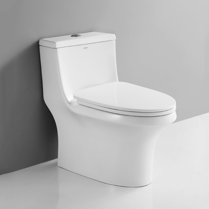 Compact One Piece Toilets Dual Flush 0.8gpf Elongated Bowl 5 Liters