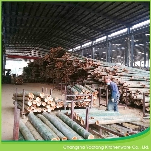 Natural Disposable Bamboo Barbecue Sticks Customized Logo