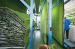 Commercial Landscape Outdoor Synthetic Grass 9000Ddtex Or Customizable