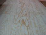 Rotary Cut/Peeled Clear Pine Wood Veneer Sheet