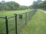 Green PVC Coated Garden Fence, pvc coated diamond wire mesh, Green PVC Coated