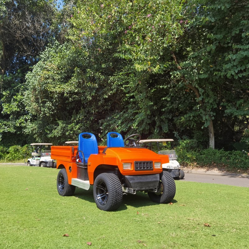 1100 / 1150MM 72V Aluminum Chassis Electric Utility Buggy With Cargo