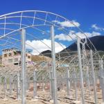 Double Film Double Arches Greenhouse Vegetable Growing 2.8m Tunnel Plastic
