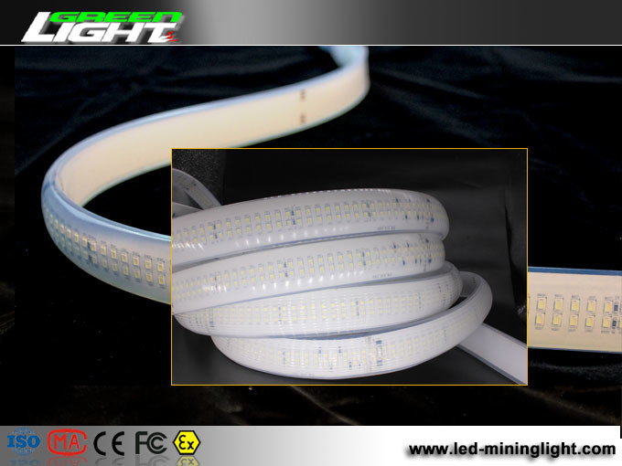 3100 Lumens SMD5050 Double Row Led Strip Silicon 220VAC 35W/M For Tunnel