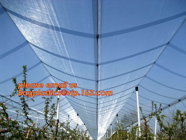 Monofilament Knitted 100% virgin HDPE Material Transparent Anti hail Netting,Polyester fiberglass anti insect net for in