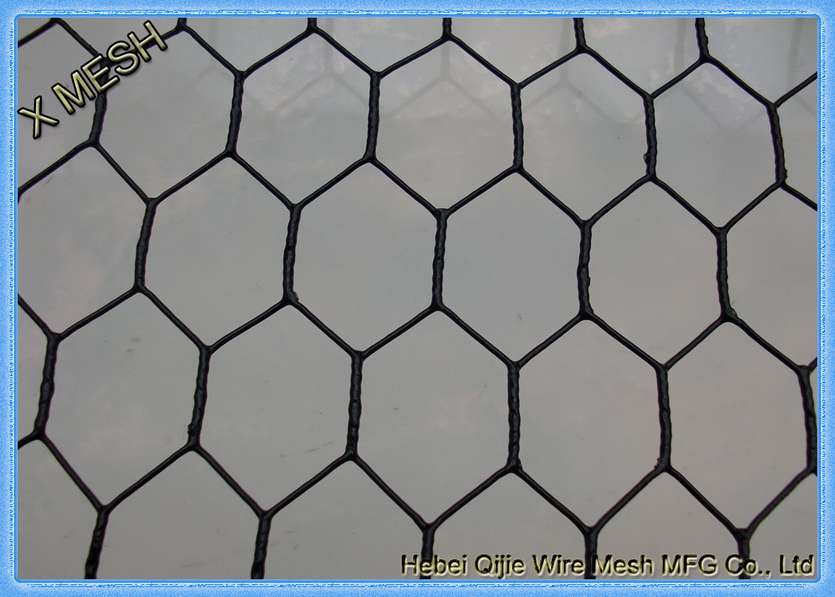 hexagonal wire mesh